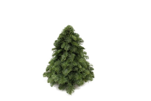 "Nobilis-Weihnachtsbaum - Höhe ca. 30 cm image"