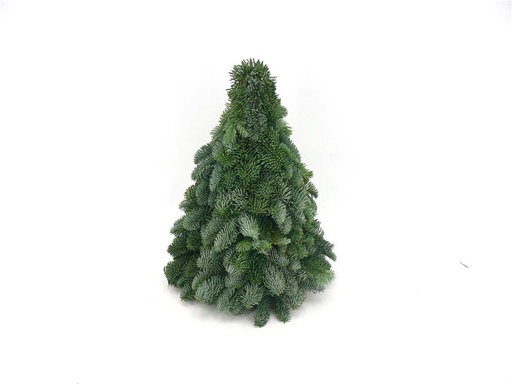 "Nobilis-Weihnachtsbaum - Höhe ca. 40 cm image"
