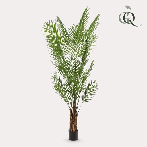 "Kunstpflanzen - Areca Lutescens - Goldpalme - 240cm image"