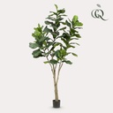 Kunstpflanze - Ficus Lyrata - Tabakspflanze - 210cm
