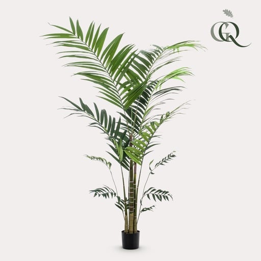 "Kunstplant - Kentia -Kentiapalm - 210cm image"