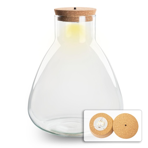 "Terrarium fles met verlichting - Sam - Ø 24,5 cm ↑ 30 cm image"