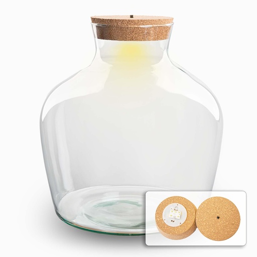 "Terrarium fles met verlichting - Fat Joe - Ø 29 cm ↑ 30 cm image"