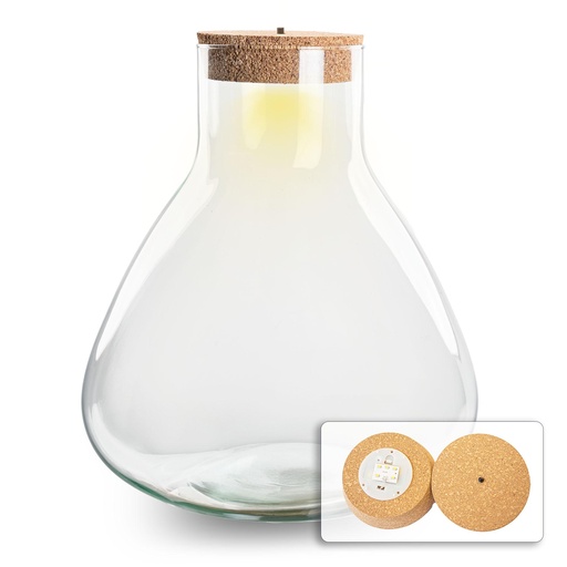 "Flaschengarten mit LED-Korken - 32 cm hoch image"