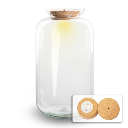 "Terrarium fles met verlichting - Sven XL - Ø 23 cm ↑ 43 cm image"
