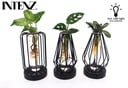 Mix in Turijn Glas + Led - 3 Stücke - Ø7cm - ↕20cm