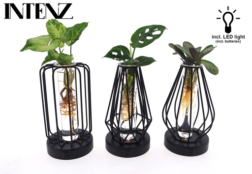 "Mix in Turijn Glas + Led - 3 Stücke - Ø7cm - ↕20cm image"
