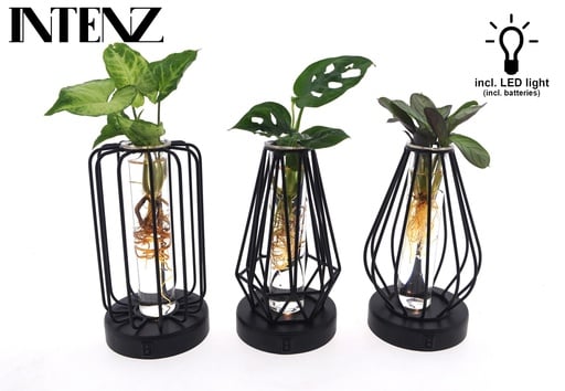 "Mix in Turijn Glas + Led - 3 Stücke - Topf-Ø 7 cm - Höhe ca. 20 cm image"