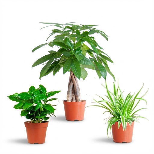 "Tierfreundliche Plant Box - klein - ohne Dekotopf - Ø12 image"