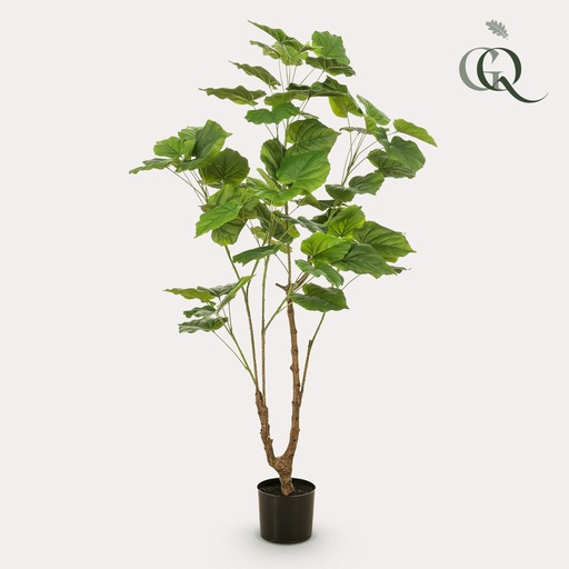 "Kunstplant - Ficus umbellate - Afrikaanse vijg - 125cm image"