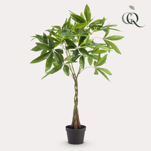"kunstplant - Pachira aquatica - Geldboom - 90cm image"