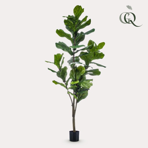 "kunstplant - Ficus Lyrata  - Tabaksplant - 150cm image"