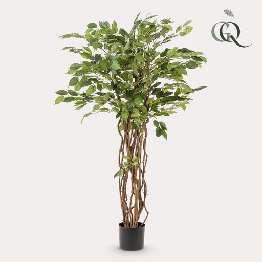 "kunstplant - Ficus liana  - Vioolbladplant - 140cm image"