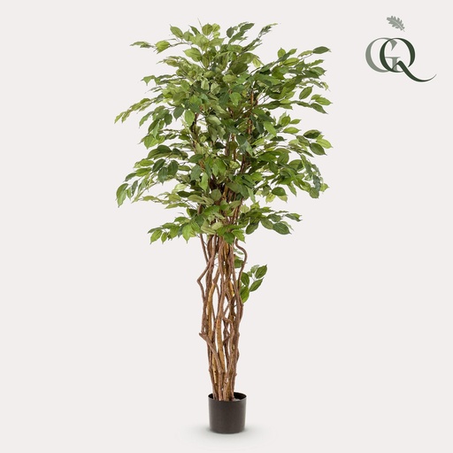 "kunstplant - Ficus liana  - Vioolbladplant - 170cm image"
