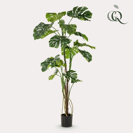 "kunstplant - Monstera  - Gatenplant - 180cm image"