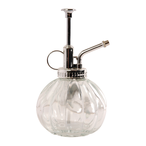 "Pflanzensprüher klar/silber - Glas - L 8,8 x D 8,8 x H 15,4 0,25 Liter image"