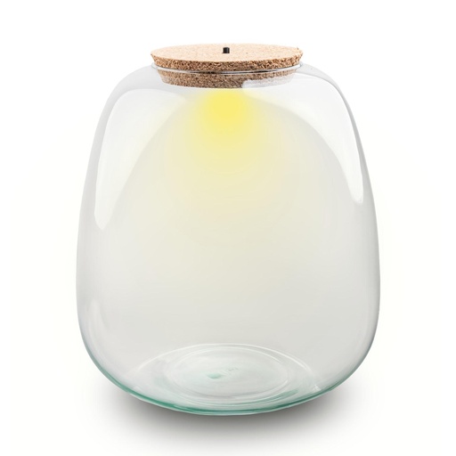 "Terrarium fles met verlichting - Emma - Ø 23 cm ↑ 25 cm image"