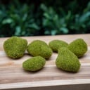 Moss stone green x6 in bag