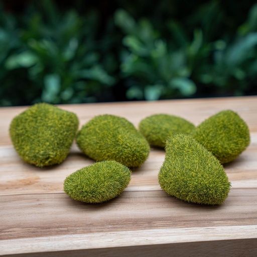 "Moss stone green x6 in bag image"