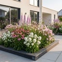 Stauden - Beetpaket - Bienen- und Schmetterlingsanziehend - Verschiedene Arten und Farben - 6 Pflanzen - Topf 11cm - Höhe 15-25cm