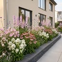Staudenpaket - Bienen- und Schmetterlingsanziehend - 24 Stauden - Für 3 m² - Verschiedene Farben - Pflegeleicht - Topf 11cm