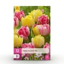 12x Tulipa Foxtrot Mix - Gefüllte Tulpe Foxtrot Mix - Diverses - Frühlingsblüher - Zwiebelgröße 11/12