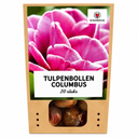 Tulpenzwiebeln Columbus – 20 Stück | KH Bloembollen® | Rosa-Weiße Doppelte Pfingstrosentulpe – Elegant & Voll – Für Garten oder Topf – Größe 11/12 – Frisch vom Züchter!