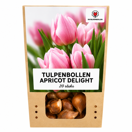 "Tulpenzwiebeln Apricot Delight – 20 Stück | KH Bloembollen® | Rosa Aprikosen-Tulpe – Sanft & Frisch – Geschenk für Garten oder Topf – Größe 11/12 – Frisch vom Züchter! image"