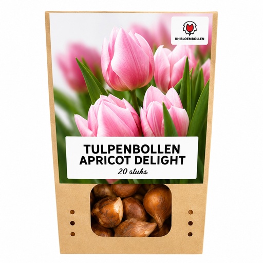 "Tulpe 'Apricot Delight' (Tulipa) – Blumenzwiebeln, 20 Zwiebeln image"