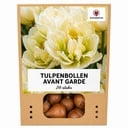 Tulpenzwiebeln Avant Garde – 20 Stück | KH Bloembollen® | Gelbe Doppelblütige Tulpe – Einzigartig, Voll & Elegant – Für Garten oder Topf – Größe 11/12 – Frisch vom Züchter