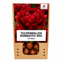 Tulpenzwiebeln Bombastic Red – 20 Stück | KH Bloembollen® | Rote Pfingstrosentulpe – Doppelblütig & Luxuriös – Für Garten oder Topf – Größe 11/12 – Frisch vom Züchter!