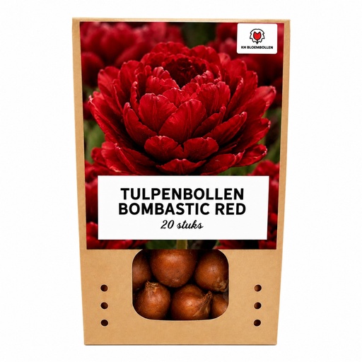 "Tulpe 'Bombastic Red' (Tulipa) – Blumenzwiebeln, 20 Zwiebeln image"