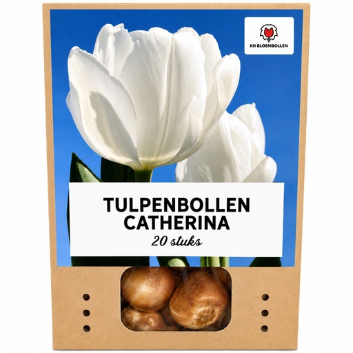 "Tulpe 'Catherina' (Tulipa) – Blumenzwiebeln, 20 Zwiebeln image"