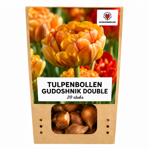 "Tulpenzwiebeln Gudoshnik Double – 20 Stück | KH Bloembollen® | Gelbe, Orange & Rote Doppelblütige Tulpe – Pfingstrosenartig & Bunt – Für Garten oder Topf – Größe 11/12 – Frisch vom Züchter image"