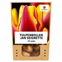 Tulpenzwiebeln Jan Seignette – 20 Stück | KH Bloembollen® | Rot-Gelb Gestreifte Tulpe – Klassisch & Auffällig – Für Garten oder Topf – Größe 11/12 – Frisch vom Züchter