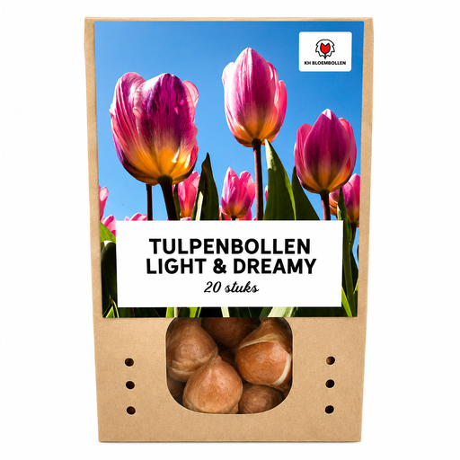 "Tulpenzwiebeln Light and Dreamy – 20 Stück | KH Bloembollen® | Prächtige Pastellfarben – Für Garten oder Topf – Größe 11/12 – Frisch vom Züchter! image"