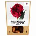 Tulpenzwiebeln Masterpeace – 20 Stück | KH Bloembollen® | Rote Tulpe mit Fransenrand – Stark & Einzigartig – Für Garten oder Topf – Größe 11/12 – Frisch vom Züchter