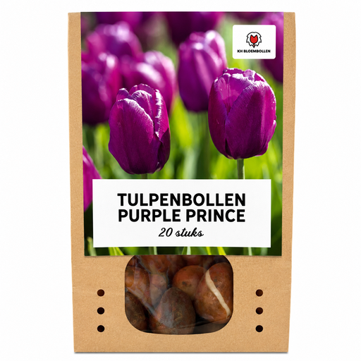 "Tulpenzwiebeln Purple Prince – 20 Stück | KH Bloembollen® | Purpur-Violette Tulpe – Kräftig & Königlich – Für Garten oder Topf – Größe 11/12 – Frisch vom Züchter image"