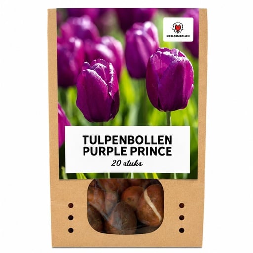 "Tulpe 'Purple Prince' (Tulipa) – Blumenzwiebeln, 20 Zwiebeln image"