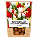 Tulpenzwiebeln Tres Chic Mix – 20 Stück | KH Bloembollen® | Rote, Gelbe & Weiße Tulpen – Stilvoll, Frisch & Bunt – Für Garten oder Topf – Größe 11/12 – Frisch vom Züchter