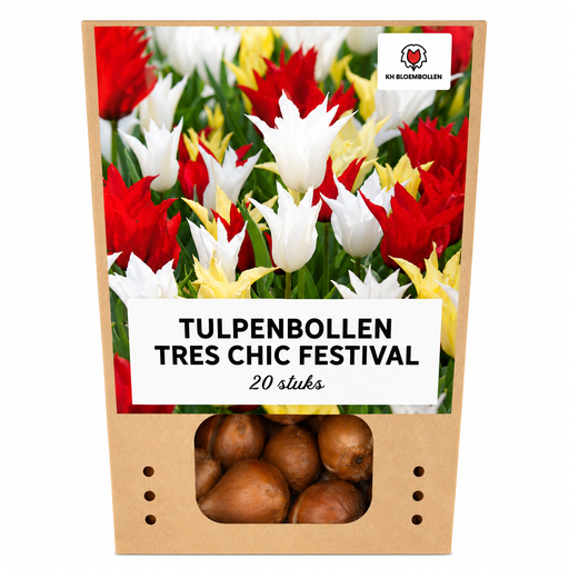 "Tulpenzwiebeln Tres Chic Mix – 20 Stück | KH Bloembollen® | Rote, Gelbe & Weiße Tulpen – Stilvoll, Frisch & Bunt – Für Garten oder Topf – Größe 11/12 – Frisch vom Züchter image"