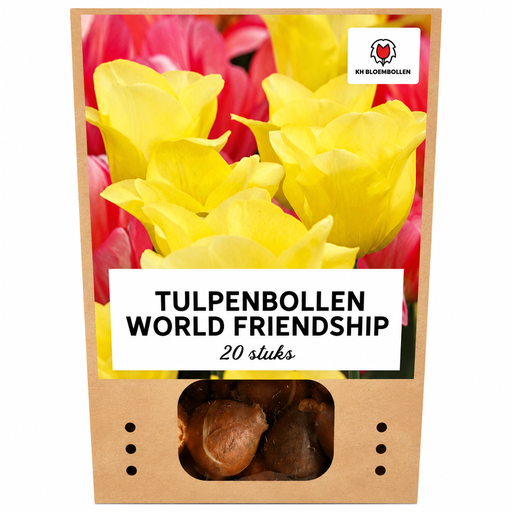 "Tulpenzwiebeln World Friendship – 20 Stück | KH Bloembollen® | Hellgelbe Tulpe – Sanft, Freundlich & Elegant – Für Garten oder Topf – Größe 11/12 – Frisch vom Züchter image"