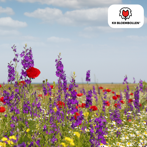 "Wilde Bloemenzaad Mengsel – 100 gram | Goed voor Bijen, Vlinders & Biodiversiteit | ± 30–50 m² image"