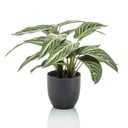 Calathea Zebrina in zwarte pot - 42 cm hoog - Kunstplant - ARTIFICIAL