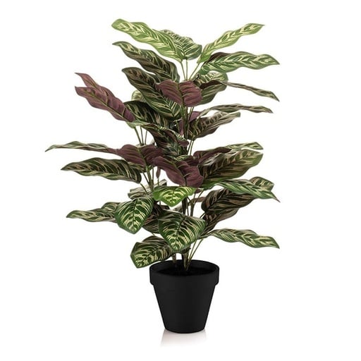 "Calathea in pot - 65 cm hoog - Kunstplant - ARTIFICIAL image"