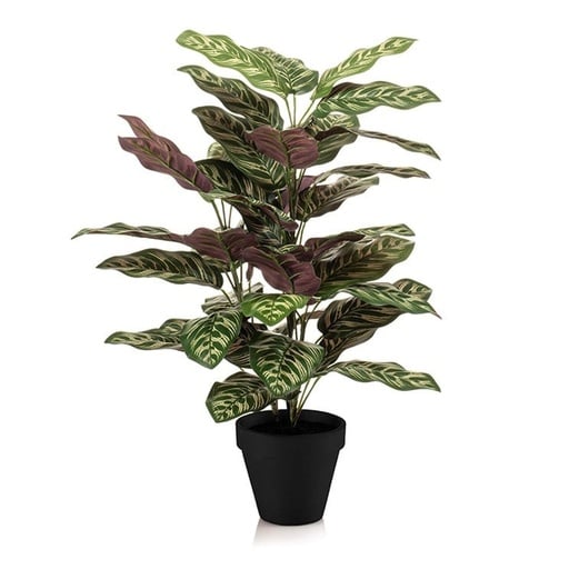 "Calathea im Topf - 65 cm hoch - Kunstpflanze - KÜNSTLICH image"