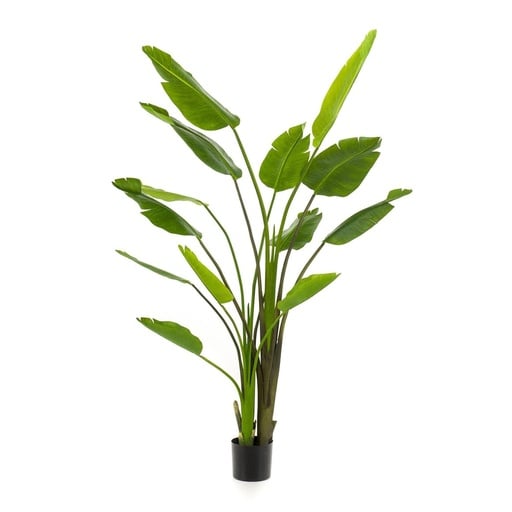 "Strelitzia nicolai - 180 cm - In zwarte pot - Kunstplant - ARTIFICIAL image"
