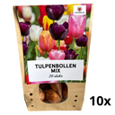 10 Beutel Tulpenzwiebeln Mix - 20 Stück - Winterhart - Größe 11/12