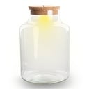 Flaschengarten mit LED-Licht im Korken - Little Milky Terrarium mit Licht ↑ 24,5 cm - Flaschengarten