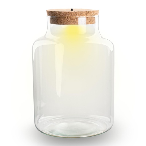 "Flaschengarten mit LED-Licht im Korken - Little Milky Terrarium mit Licht ↑ 24,5 cm - Flaschengarten image"